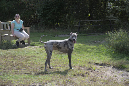 20250921_Thisbe and Dog Park__DSC0086_.jpg