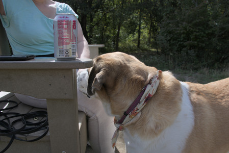 20250921_Thisbe and Dog Park__DSC0089_.jpg