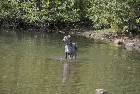 20250921_Thisbe and Dog Park__DSC0090_.jpg