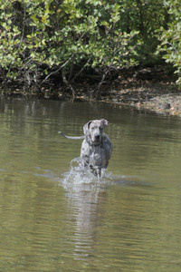 20250921_Thisbe and Dog Park__DSC0092_.jpg