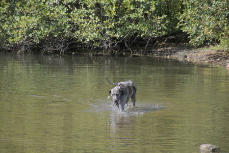 20250921_Thisbe and Dog Park__DSC0093_.jpg