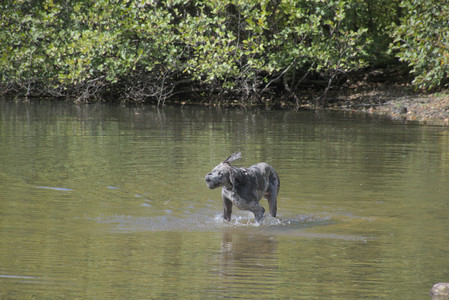 20250921_Thisbe and Dog Park__DSC0095_.jpg