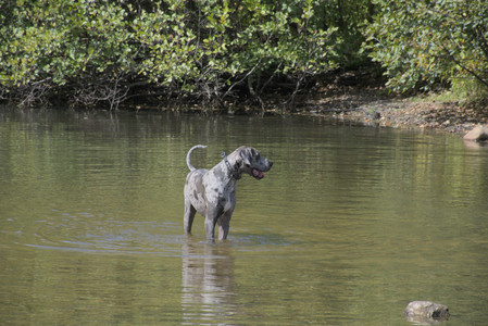 20250921_Thisbe and Dog Park__DSC0097_.jpg