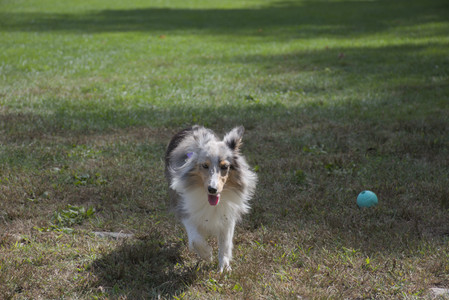 20250921_Thisbe and Dog Park__DSC0105_.jpg