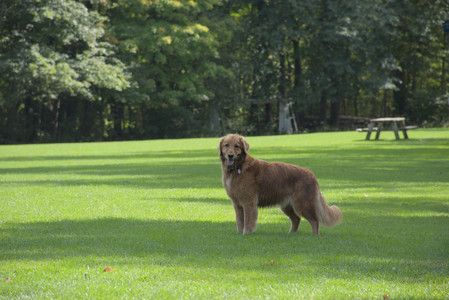 20250921_Thisbe and Dog Park__DSC0109_.jpg