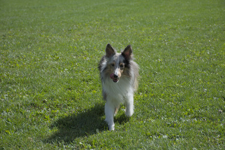 20250921_Thisbe and Dog Park__DSC0112_.jpg