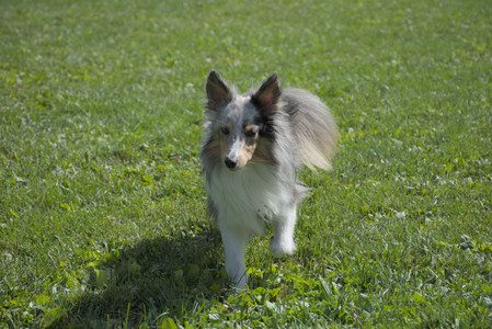 20250921_Thisbe and Dog Park__DSC0113_.jpg