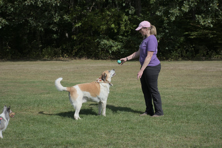 20250921_Thisbe and Dog Park__DSC0118_.jpg