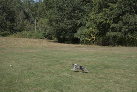 20250921_Thisbe and Dog Park__DSC0119_.jpg
