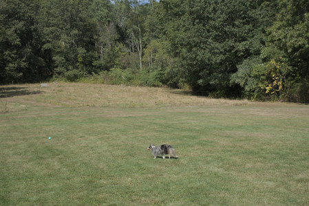 20250921_Thisbe and Dog Park__DSC0120_.jpg