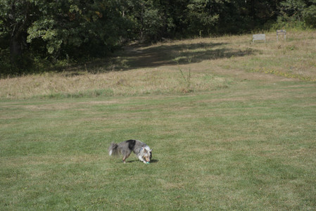 20250921_Thisbe and Dog Park__DSC0121_.jpg