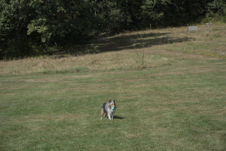 20250921_Thisbe and Dog Park__DSC0122_.jpg