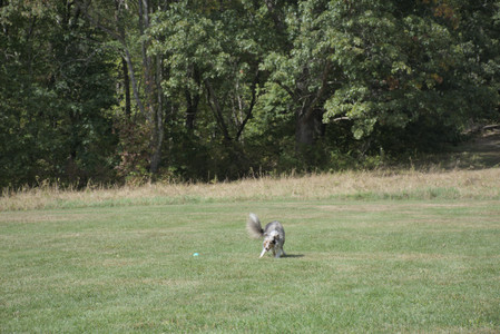 20250921_Thisbe and Dog Park__DSC0124_.jpg
