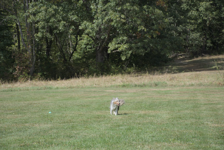 20250921_Thisbe and Dog Park__DSC0125_.jpg