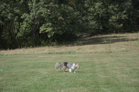 20250921_Thisbe and Dog Park__DSC0126_.jpg