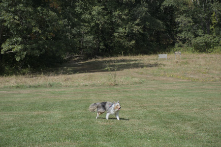 20250921_Thisbe and Dog Park__DSC0127_.jpg