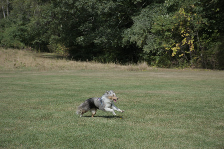 20250921_Thisbe and Dog Park__DSC0130_.jpg