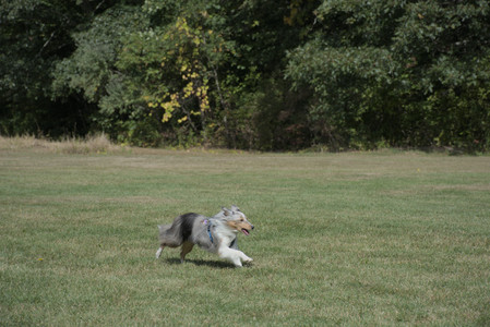 20250921_Thisbe and Dog Park__DSC0131_.jpg