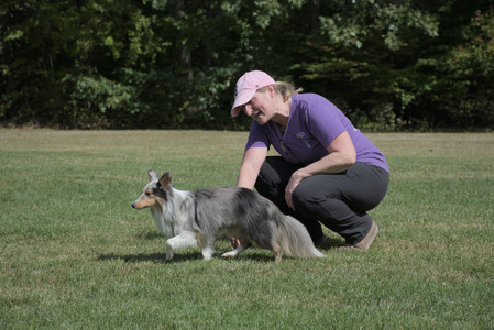 20250921_Thisbe and Dog Park__DSC0140_.jpg