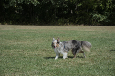 20250921_Thisbe and Dog Park__DSC0142_.jpg