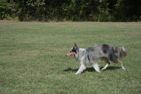 20250921_Thisbe and Dog Park__DSC0143_.jpg