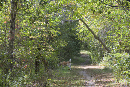 20250921_Thisbe and Dog Park__DSC0145_.jpg