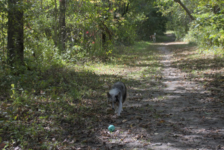 20250921_Thisbe and Dog Park__DSC0146_.jpg