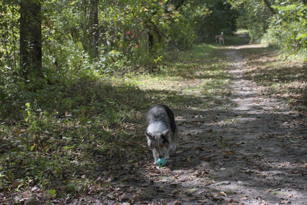 20250921_Thisbe and Dog Park__DSC0148_.jpg