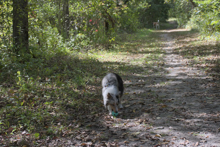 20250921_Thisbe and Dog Park__DSC0149_.jpg