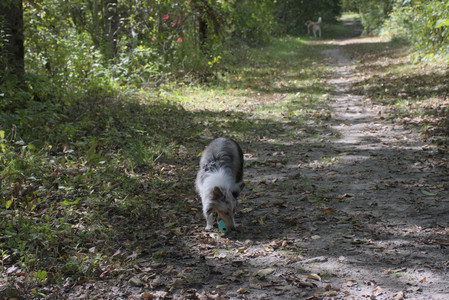 20250921_Thisbe and Dog Park__DSC0150_.jpg