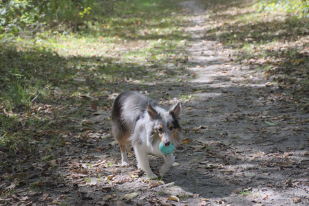 20250921_Thisbe and Dog Park__DSC0152_.jpg