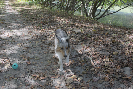 20250921_Thisbe and Dog Park__DSC0156_.jpg