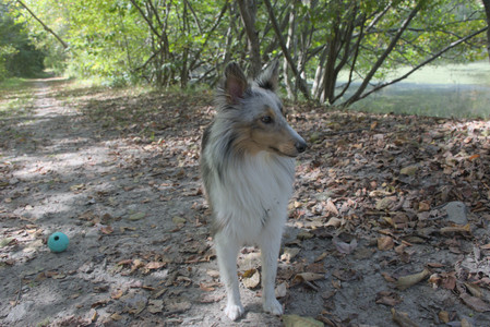 20250921_Thisbe and Dog Park__DSC0160_.jpg