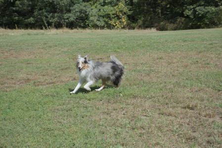 20250921_Thisbe and Dog Park__DSC0163_.jpg