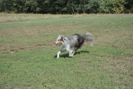 20250921_Thisbe and Dog Park__DSC0164_.jpg