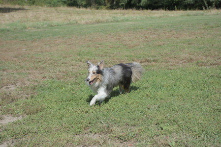 20250921_Thisbe and Dog Park__DSC0165_.jpg