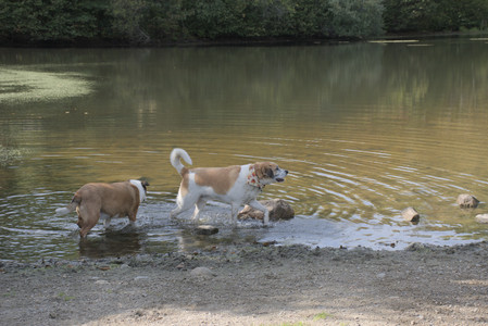 20250921_Thisbe and Dog Park__DSC0166_.jpg