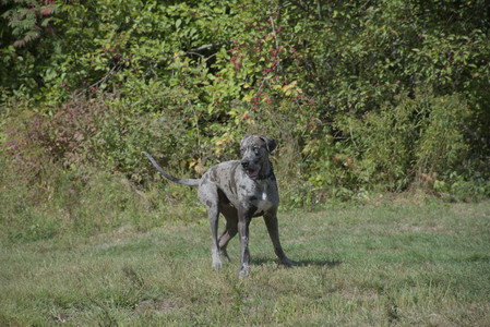 20250921_Thisbe and Dog Park__DSC0168_.jpg