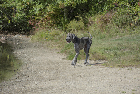20250921_Thisbe and Dog Park__DSC0170_.jpg