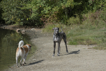 20250921_Thisbe and Dog Park__DSC0173_.jpg