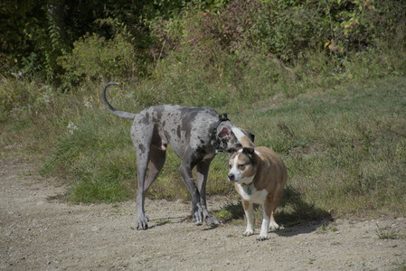 20250921_Thisbe and Dog Park__DSC0188_.jpg