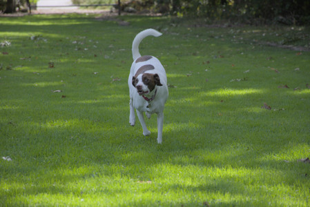 20250921_Thisbe and Dog Park__DSC0193_.jpg