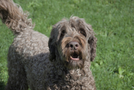 20250921_Thisbe and Dog Park__DSC0198_.jpg