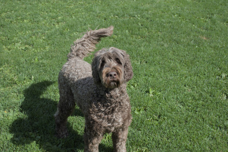 20250921_Thisbe and Dog Park__DSC0201_.jpg