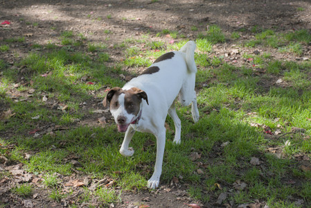 20250921_Thisbe and Dog Park__DSC0216_.jpg