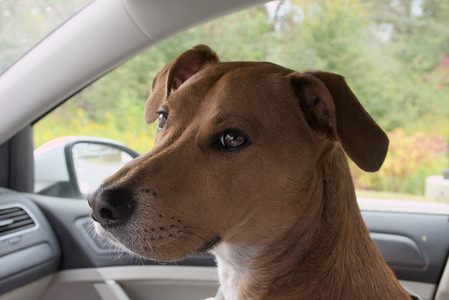 20250923_Imby and Dog Park__DSC0024_.jpg