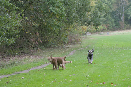 20250923_Imby and Dog Park__DSC0035_.jpg
