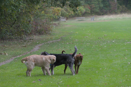 20250923_Imby and Dog Park__DSC0039_.jpg