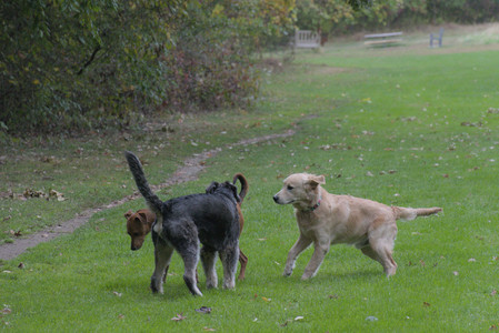 20250923_Imby and Dog Park__DSC0044_.jpg