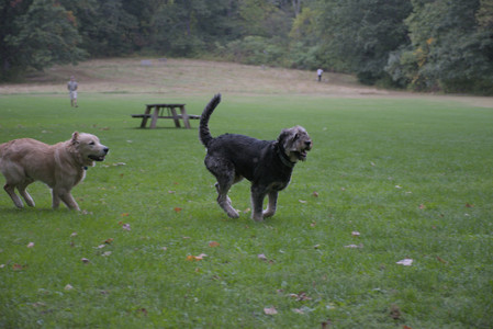 20250923_Imby and Dog Park__DSC0051_.jpg